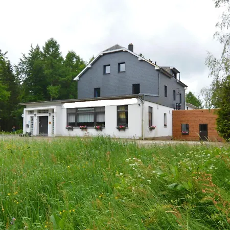Gorgeous Mansion With Swimming Pool And Sauna In Holiday home